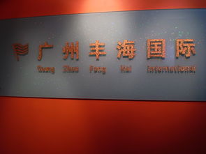 广州市丰海贸易公司 开启高效便捷的网上贸易代理服务