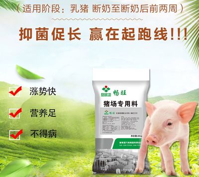 生猪产量大省再遇挑战 湖北饲料问题引发产业关注