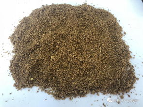 鱼价低迷期如何降低饵料成本？养殖户必看的实用策略